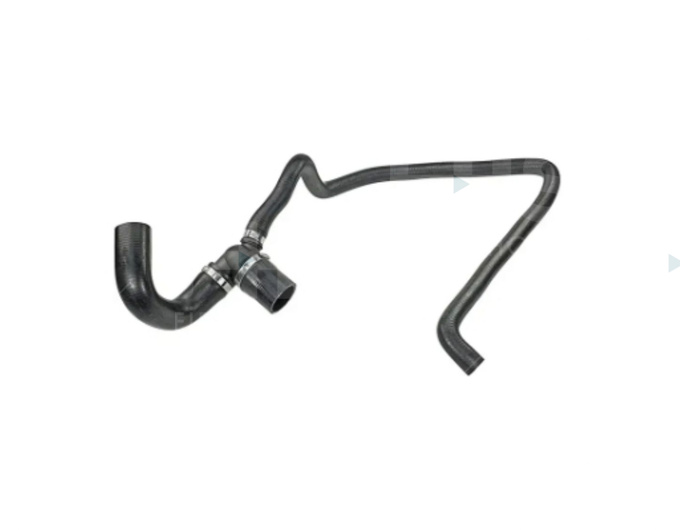 Radiator Lower Hose
